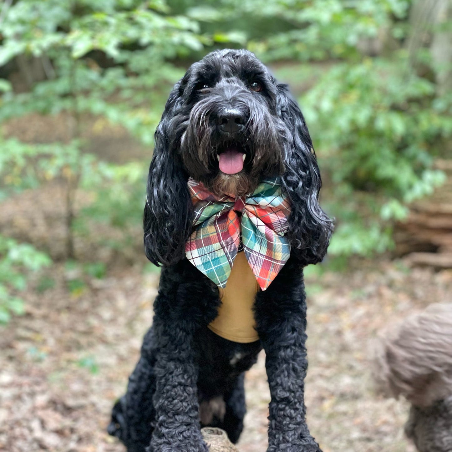 Autumn Plaid