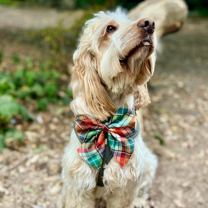 Autumn Plaid