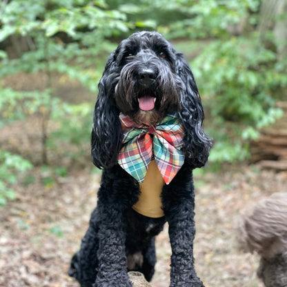 Autumn Plaid